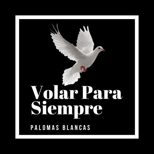 Volar para Siempre